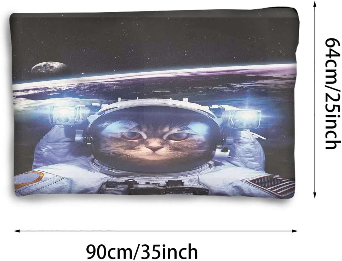 review Blue White Thermal Pet Mat Bed Liner Astronaut Above Earth in Outer Space Explorer Super Soft Plush Dog Crate Pad for Travel or Home Cat 25