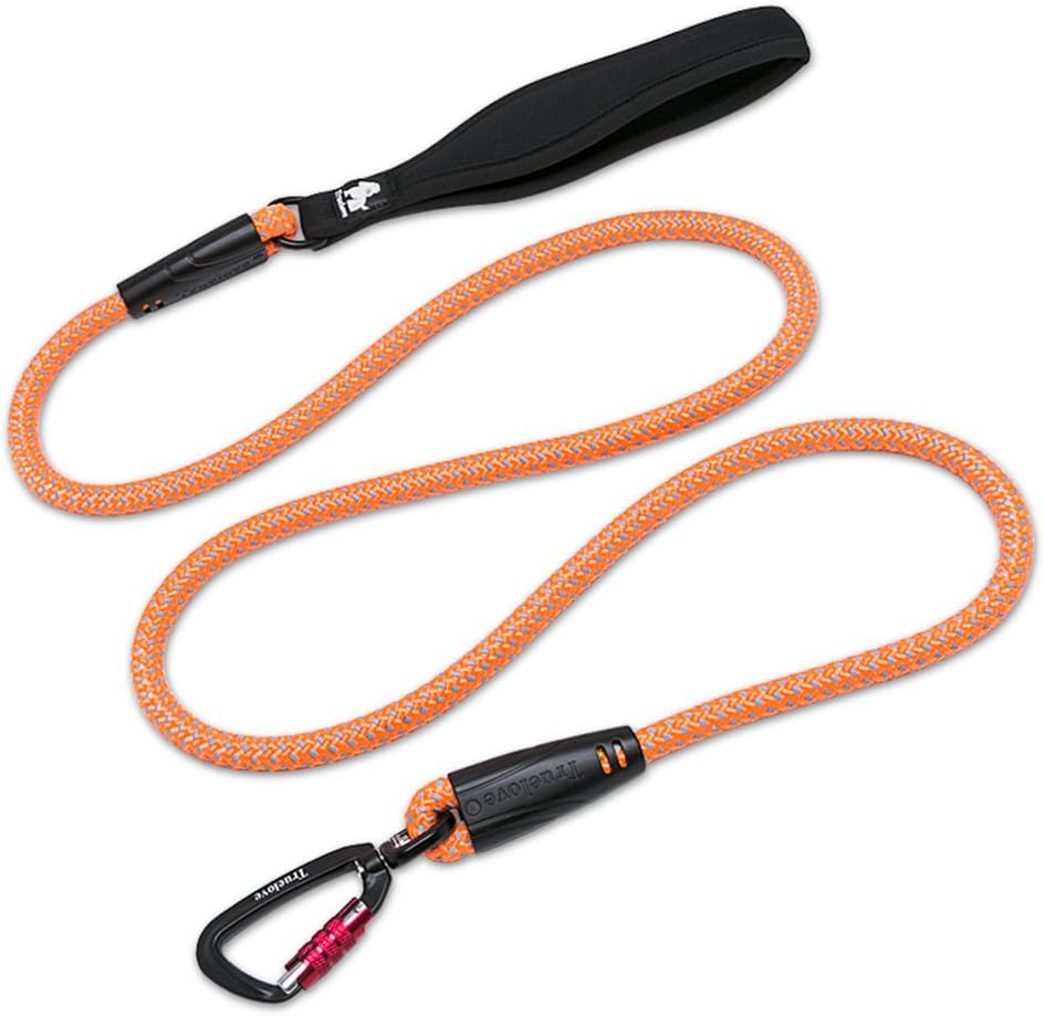 SGODA Reflective Dog Leash with Secure Locking Carabiner, Orange, 6 Feet