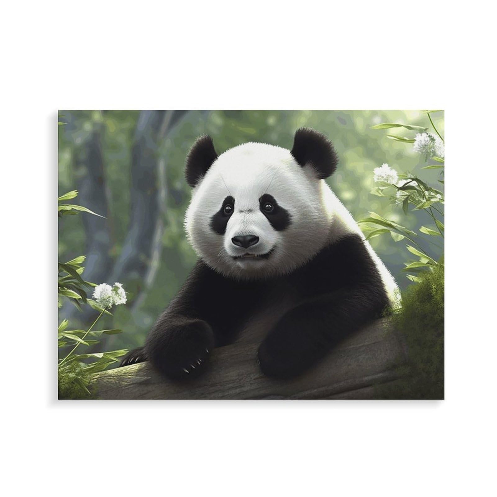 Kit de peinture numérique, joli panda imprimé adulte, kit de peinture par numéros pour débutants, kit de peinture à faire soi-même