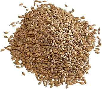 Whole Grain Barley for Milling, Baking & Cooking   Regeneratively Grown in Lancashire UK | Traditional Whole Barley Grain | Not Pearl Barley | Brow Farm 20kg