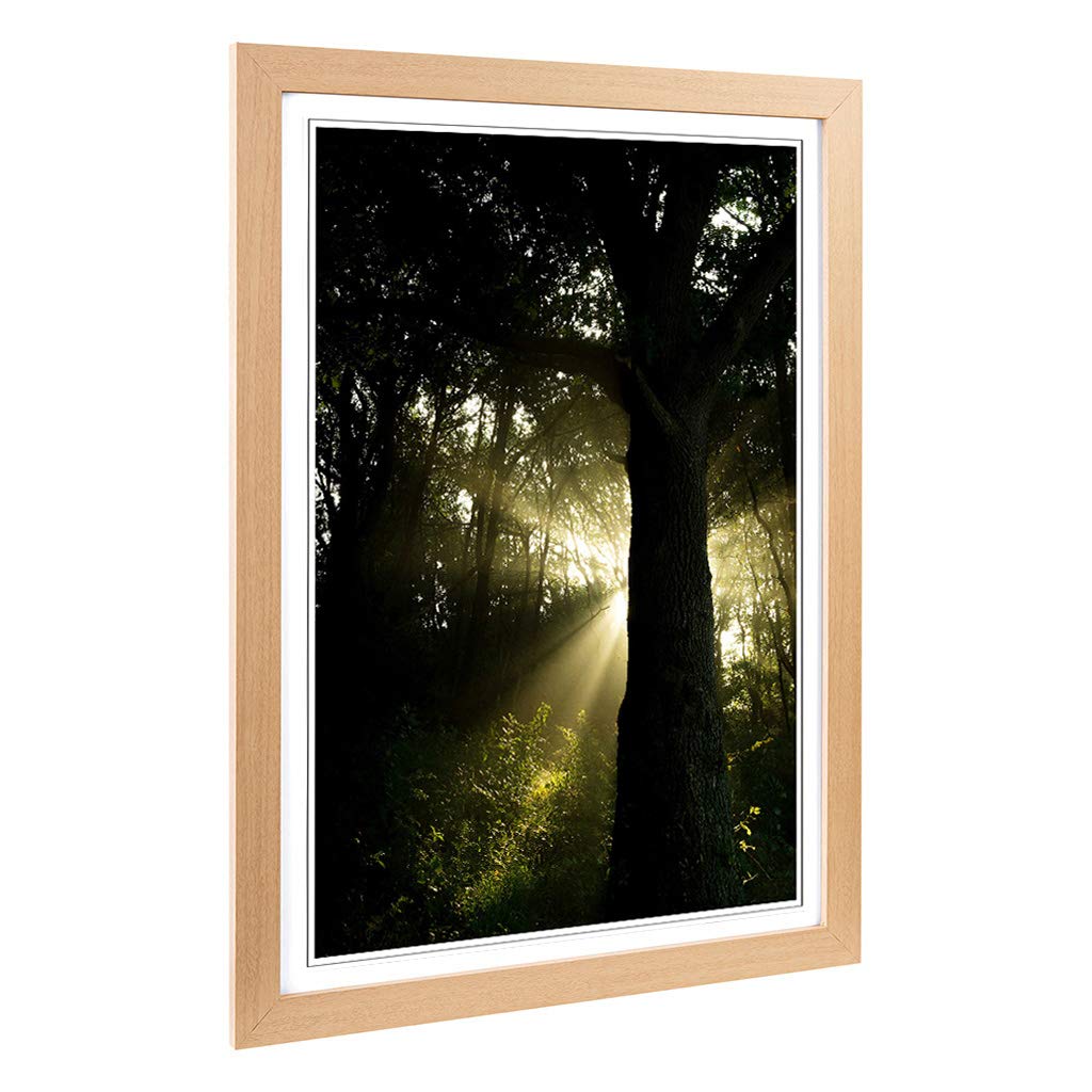 Big Box Art Framed Print of Ray of Sunshine in The Forest Woodland Design | Wall Art Picture | Home Decor for Kitchen, Living Room, Bedroom, Hallway, Oak, A2 / 24.5x18 Inch / 62x45cm