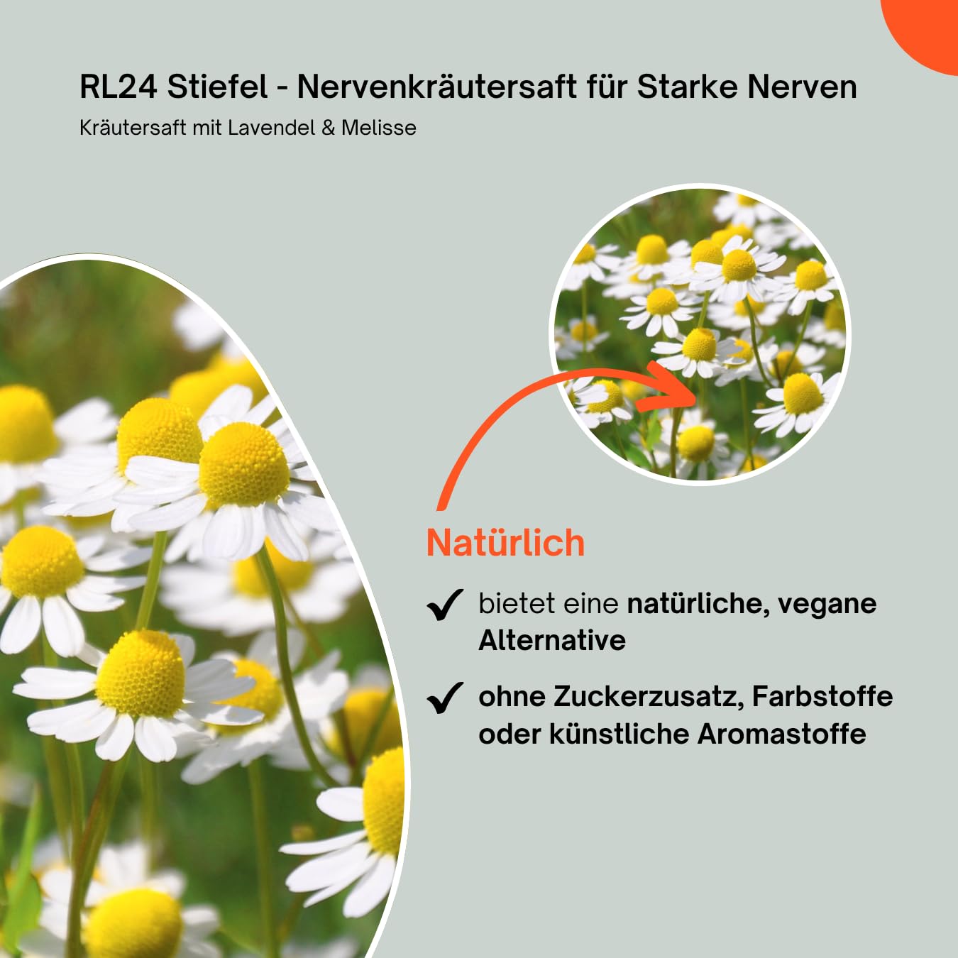 RL24 Stiefel - Nervenkräutersaft für Starke Nerven – 5 x 1000 ml | (5er Set) – Flasche – Kräutersaft mit Lavendel – Ergänzungsfuttermittel für nervöse & gestresste Pferde