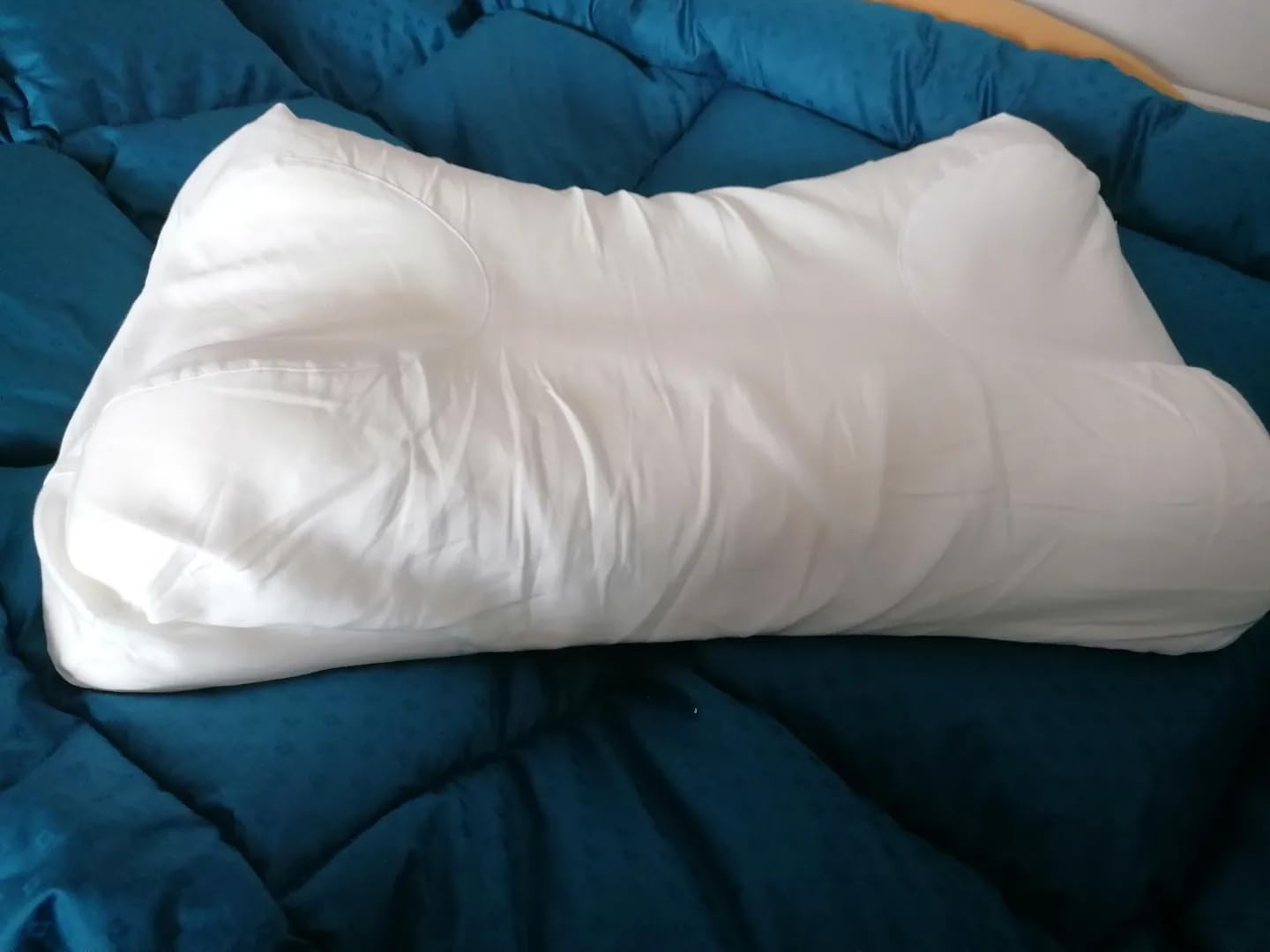 Sleep&Glow Omnia Coussin anti-rides en soie de qualité supérieure, anti- rides, développé par des orthopédistes, réglage de la hauteur du dos et du côté, fabriqué en Europe, fougère lunaire