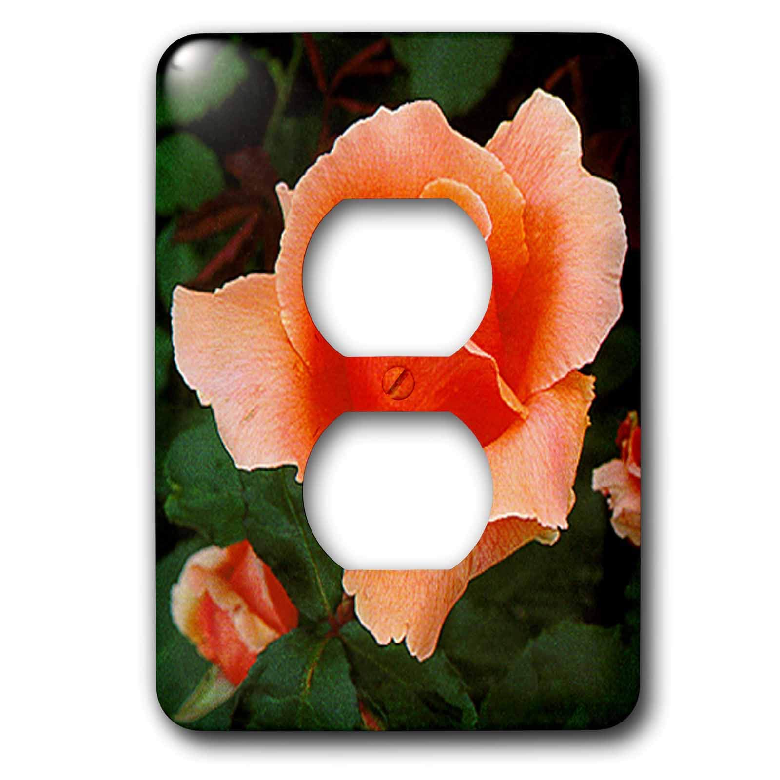 Tapa de enchufe doble 3dRose Peach HT Rose decorada con flores