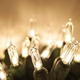 Wintergreen Lighting 50 T5 LED Warm White Mini Christmas Tree Light Set, 4 Spacing, 17', Party Lights Bedroom Lights Dorm Lights String Lights (Warm White, 17 Ft)