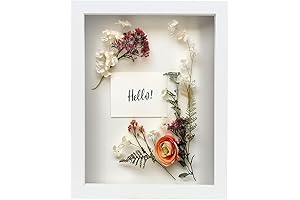 FrameWorks Empty Frame - Shadow Box Wall Display Case