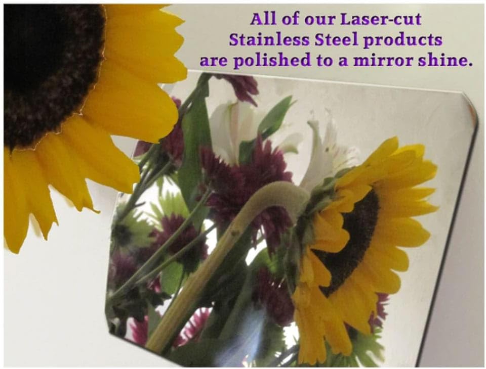 QAA is Compatible with 2002-2004 Ford Thunderbird 1 Piece Stainless Hood Accent Trim, Scoop HT43670