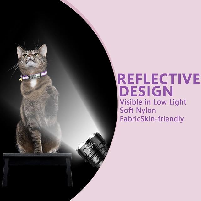 Foto 4 de 7 de Collar de Gato Grabado Personalizado, Etiqueta de identificación Deslizante para Mascotas