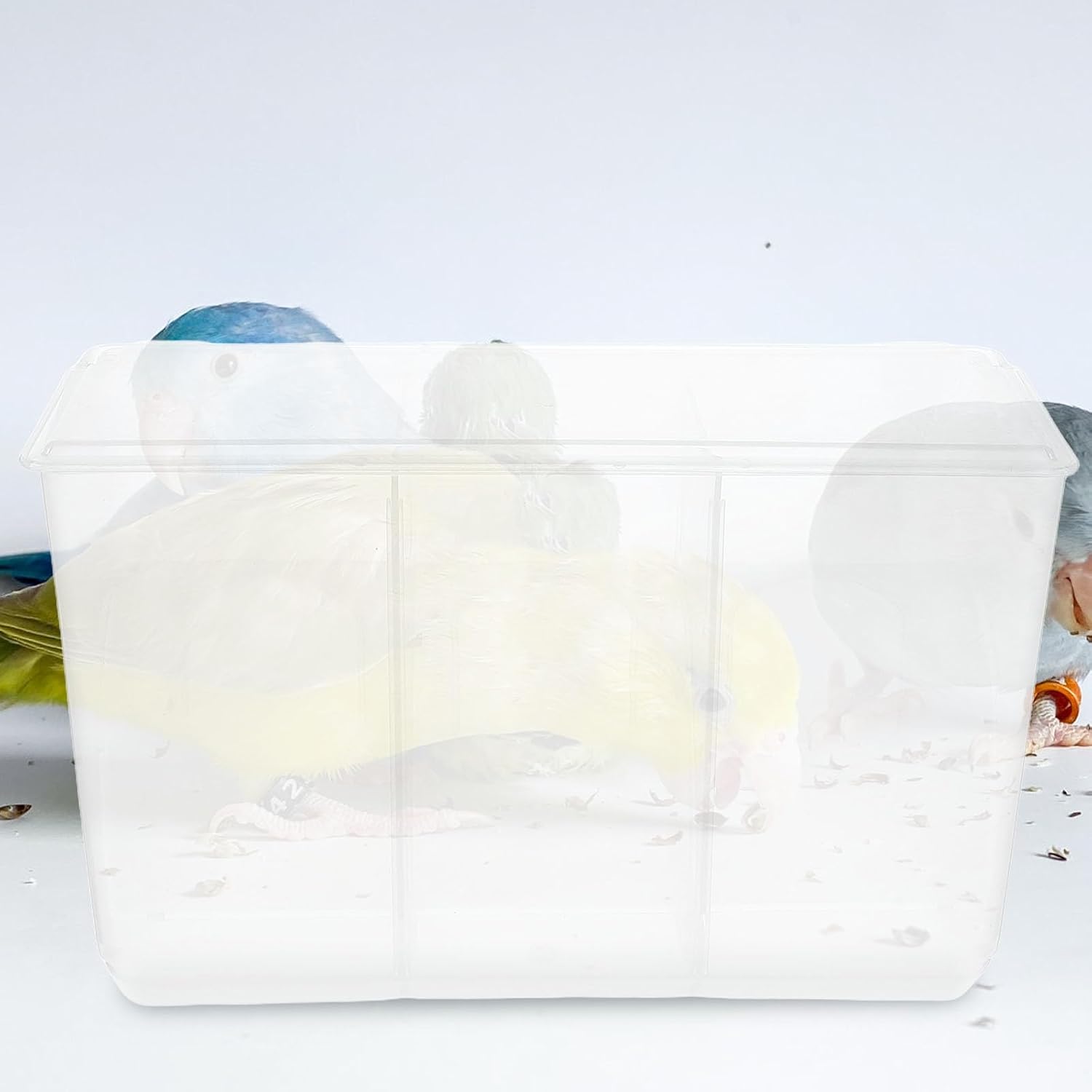 Bird Cage Food Box with Sift Proof Hanging Design Plastic image 5