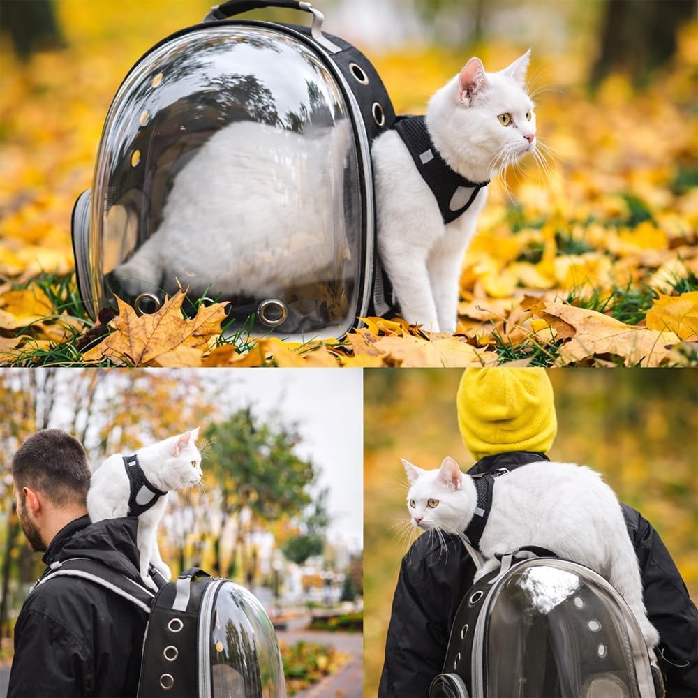 Cat Backpack Carrier for Travel Transparent Pet Carrier Backpack with Ventilation Padded Straps Lightweight Design for Cats up to 20lbs Hiking Outdoor Airline Approved