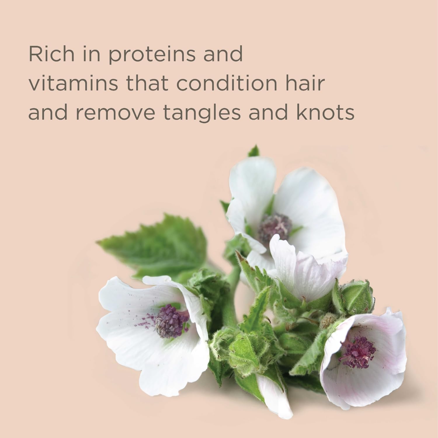 Hairitage S.O.S. Deep Moisture & Restore Deep Conditioner with Safflower Oil for Dry, Thick Hair - Hydrating - for Coily + Curly + Wavy Hair Types - Vegan for Women + Men, 21 fl. oz. - Image 8