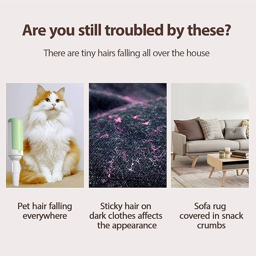 Share more than 150 remove pet hair from clothes best tnbvietnam.edu.vn