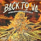  Flight Interlude (feat. AISixxx & TechSolo) [Explicit]