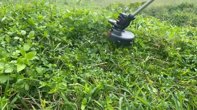 0.080