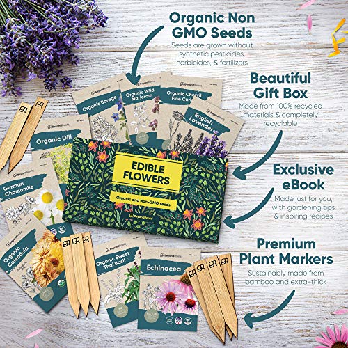 100-Edible-Flower-Seeds-for-Planting-Certified-Organic-Seeds-9-Flower-Garden-Non-GMO-Plant-Seed-Packets-Plant-Markers-Lavender-Echinacea-Calendula-Borage-Wildflower-Chamomile-Thai-Basil 100-Edible-Flower-Seeds-for-Planting-Certified-Organic-Seeds-9-Flower-Garden-Non-GMO-Plant-Seed-Packets-Plant-Markers-Lavender-Echinacea-Calendula-Borage-Wildflower-Chamomile-Thai-Basil
