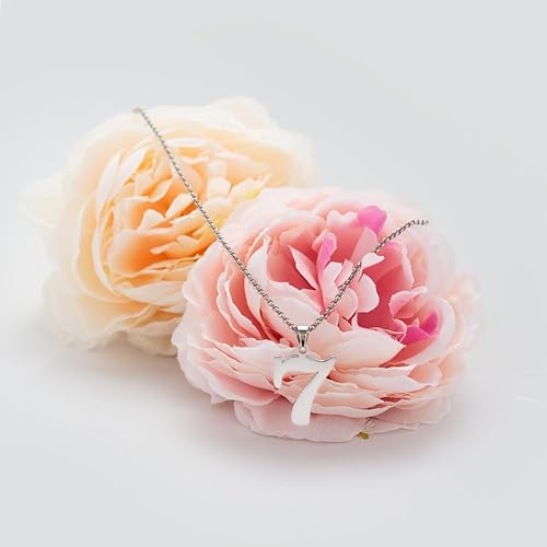 Miniatura 4 de Colgante con cadena de plata de ley 925 con dije de número 0-9.