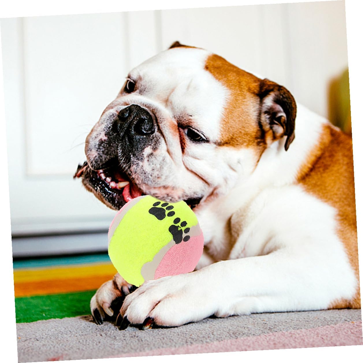 PRETYZOOM 16pcs Dog Tennis Balls Pet Plush Throwing 7cm Diameter Rubber Exercise Balls for Medium and Small Dogs Training Interactive Play Random Color