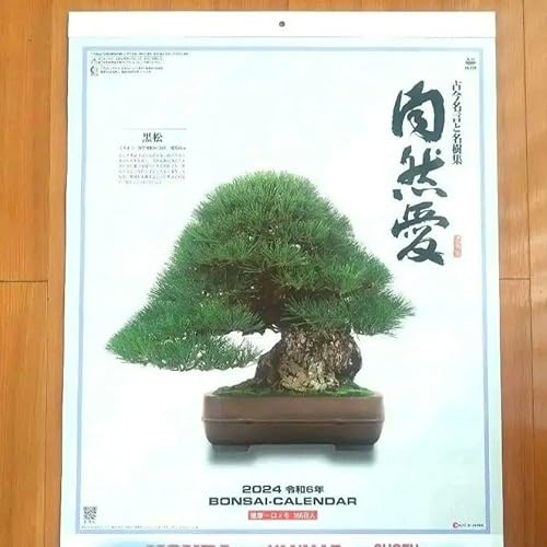 ~̓J_[ BONSAI Ǌ|J_[ 2024N ߘa6N R