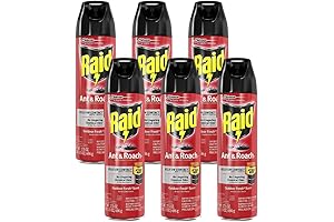 Raid Ant and Roach Spray Outdoor Fresh 17.50 oz (Pack of 6)