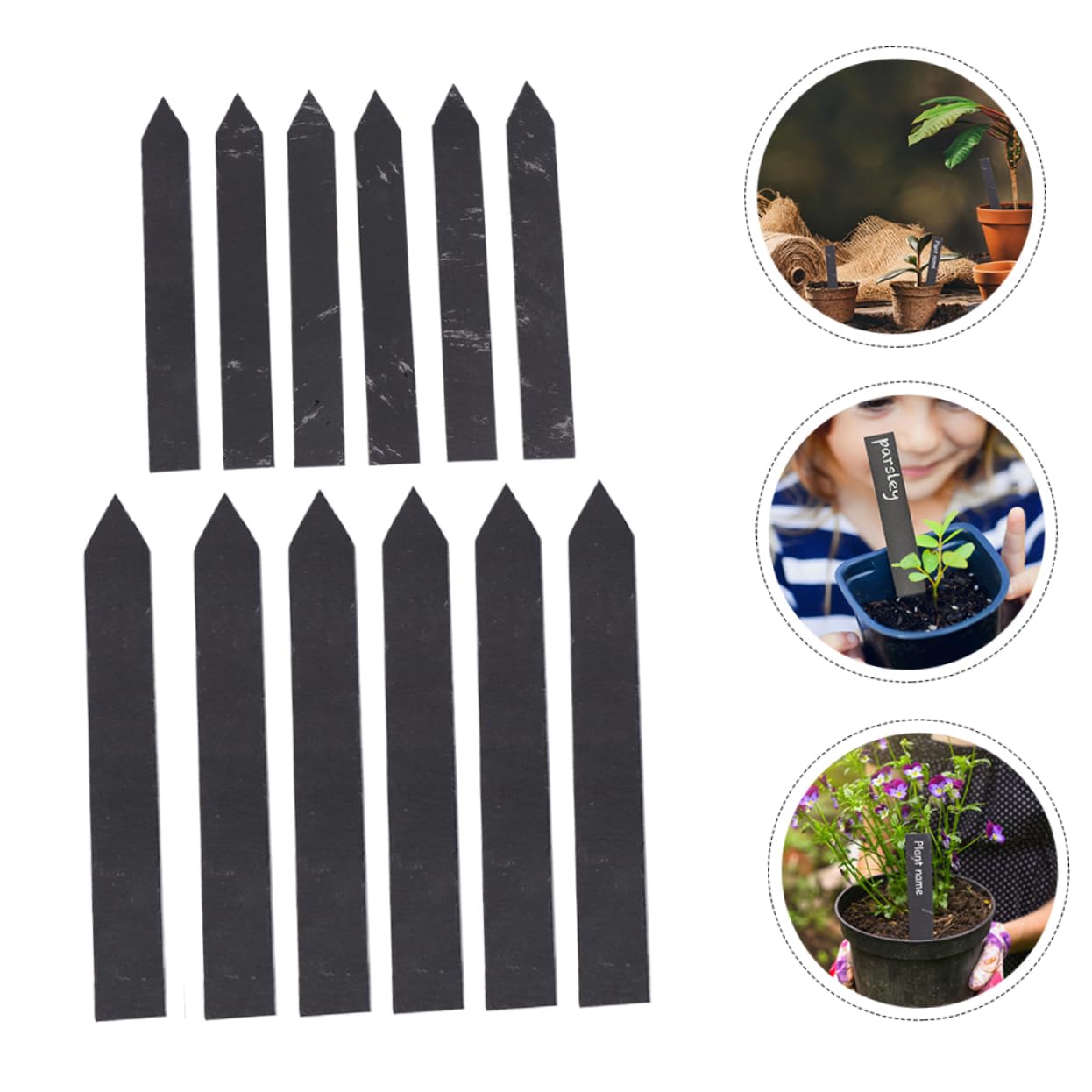 12pcs Étiquettes de Plantes en Ardoise Étiquettes Jardin Stables pour Fleurs et Plantes D'extérieur