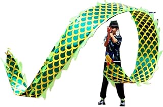 BFNDSSEOU Cinta de Danza Popular Tradicional China, Cinta de Danza del dragón for Deportes al Aire Libre, Serpentina de dragón Verde con Cabeza de dragón de acero y Bolsa de Viaje(6 m (20 ft))
