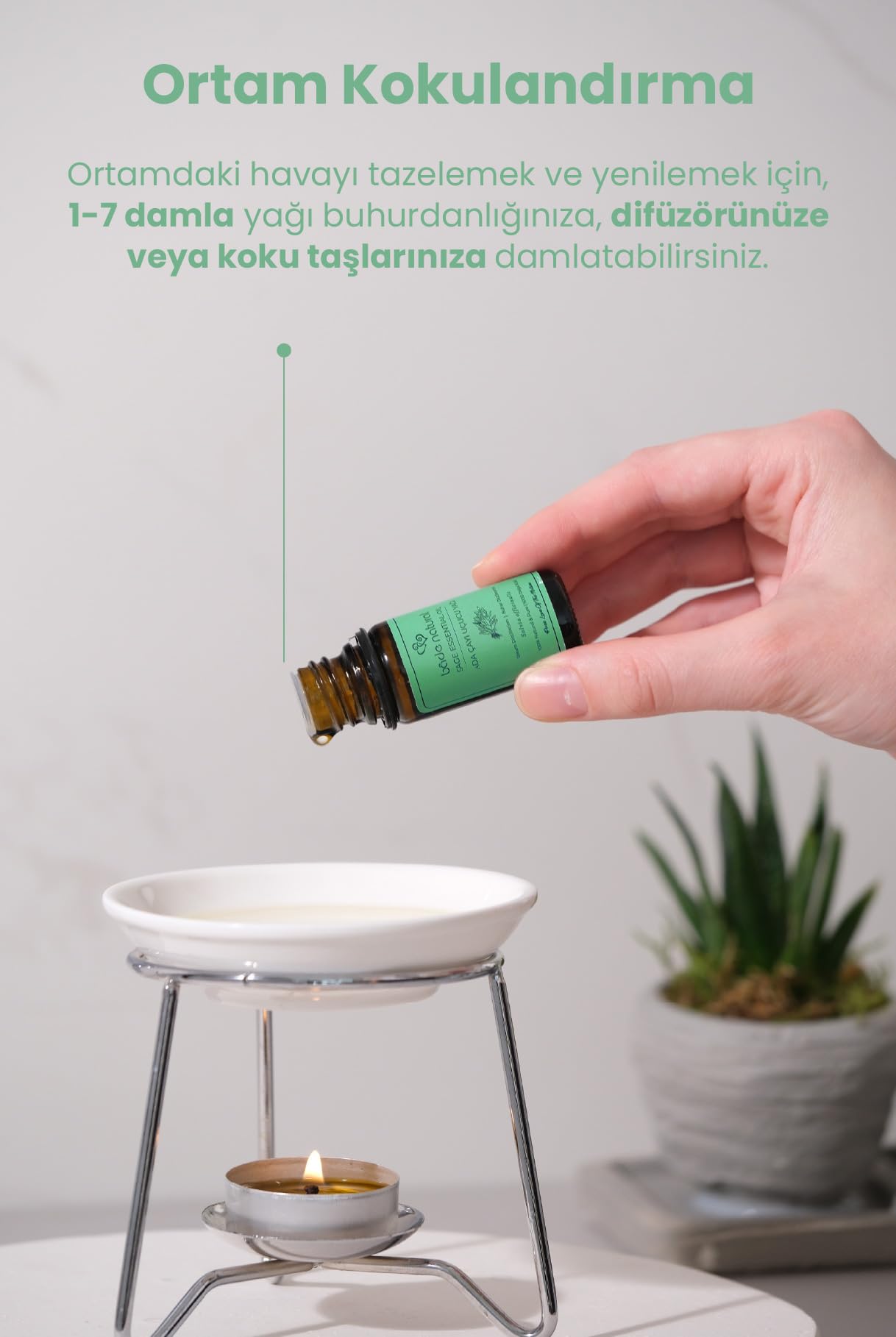 Bade Natural Adaçayı Uçucu Yağı 1 Paket (1 X 10 Ml)
