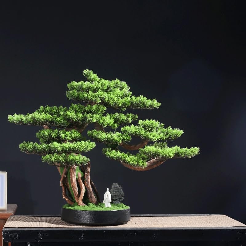 Pinus Armorus decoración de plantas verdes con acabado realista 3