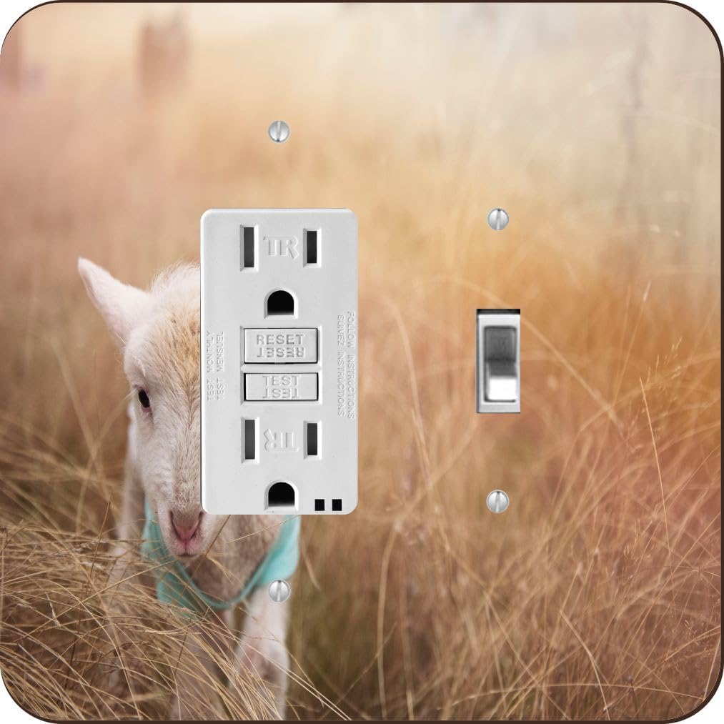 Baby Goat in Field Soft -Light Switch Plate Cover - Double GFI Double Rocker - Two Gang Switch Plate Cover Switch Plate Cover