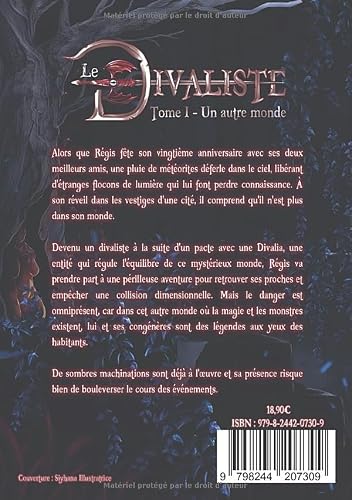 Le Divaliste: Tome 1 – Un autre monde – vue 2