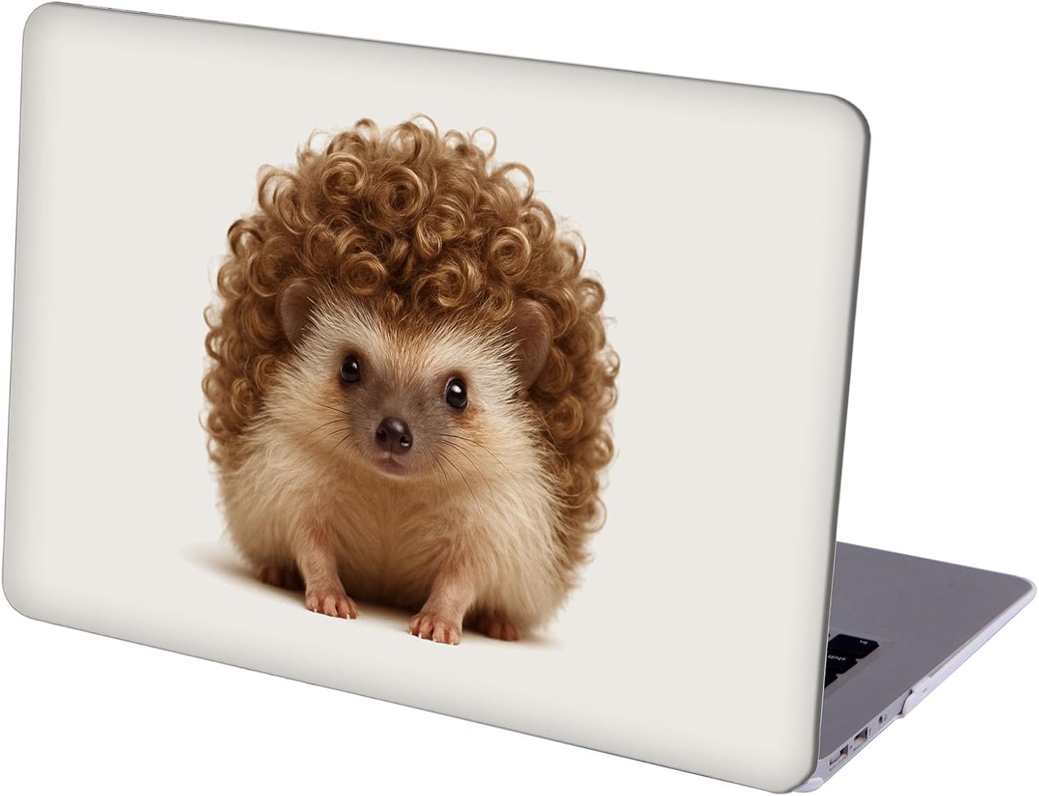 Compatible with MacBook Neo 13-inch, Hard Shell Case with Keyboard Cover and Screen Protector (A3404 A18 Pro chip, 2026 Release) - Hedgehogs MC22498