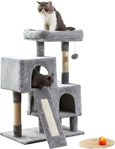 cat climbing tree amazon