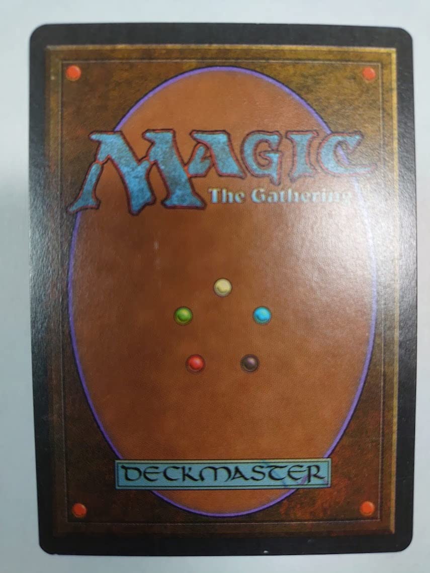 Amazon.co.jp: MTG Rob Alexander Signed Taiga English Version Land 