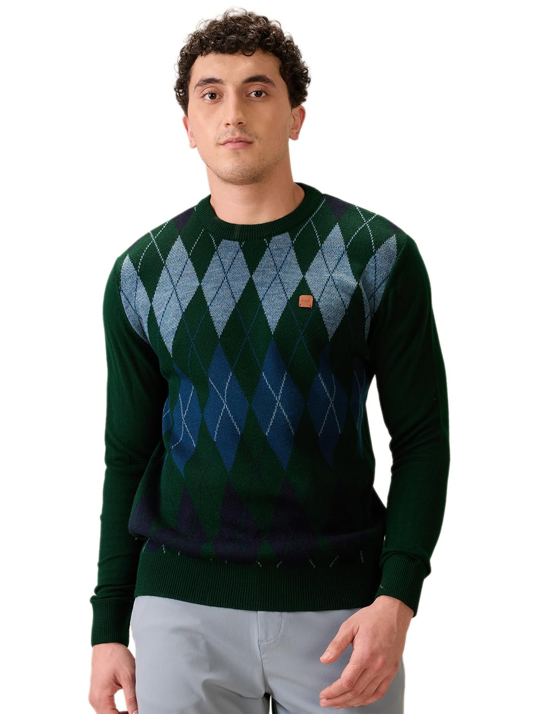 colorplus Men Full Sleeve Regular Fit Jacquard Pattern Pure Acrylic V Neck V Neck Casual Winter wear-picture-24