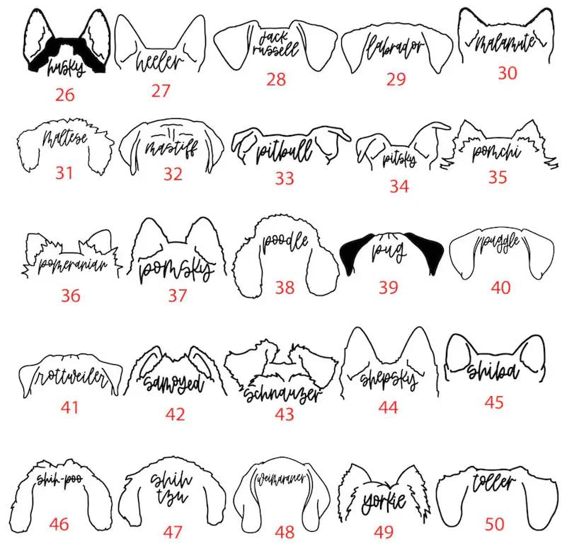 Custom Dog Embroidered Shirt, Custom Dog Ears Crewneck, Dog Lover Shirt, Dog Mama Shirt, Custom Pet Shirt, Personalized Embroidered Shirt3