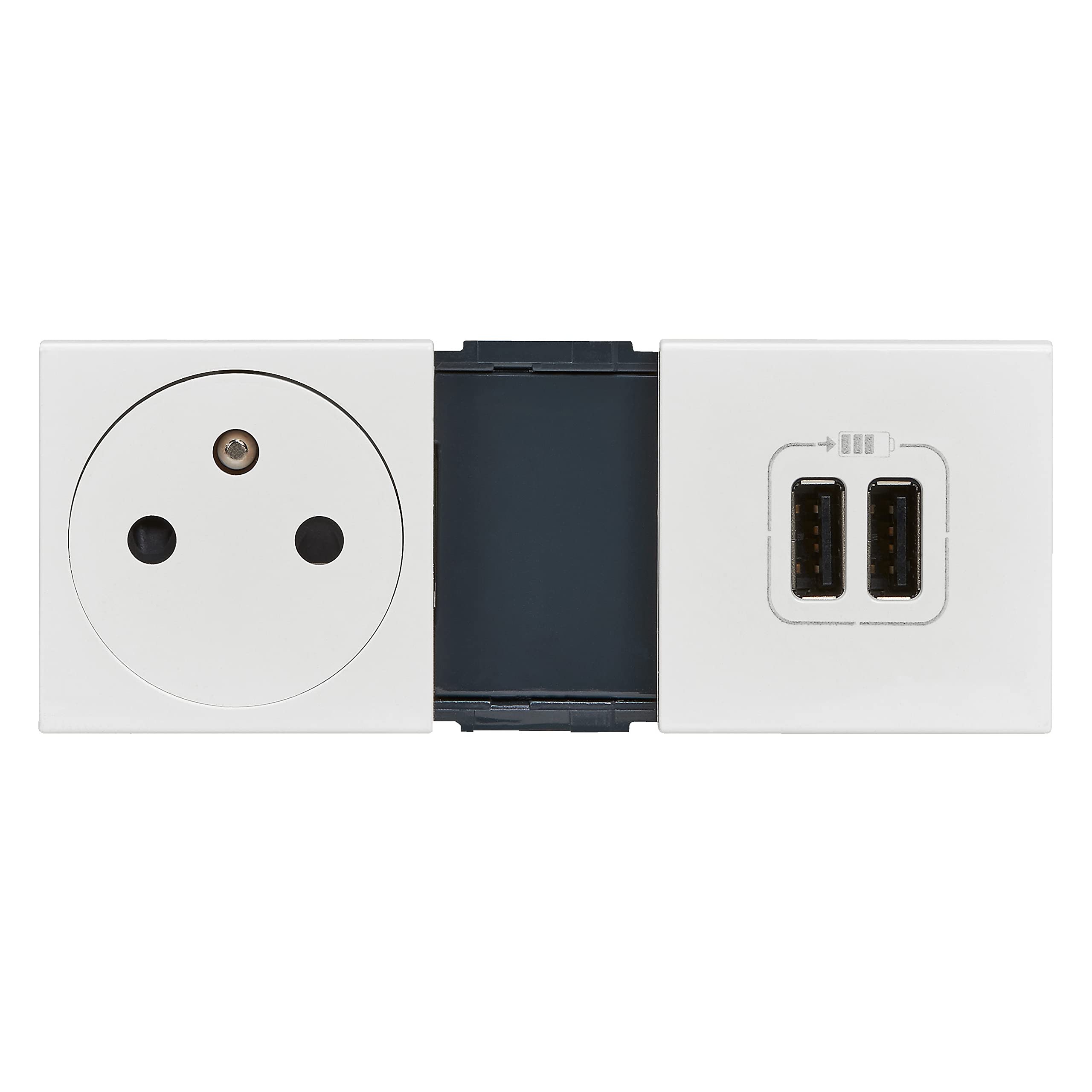 Legrand leg99605 gniazdko + ładowarka 2 USB Mosaic, kolor biały