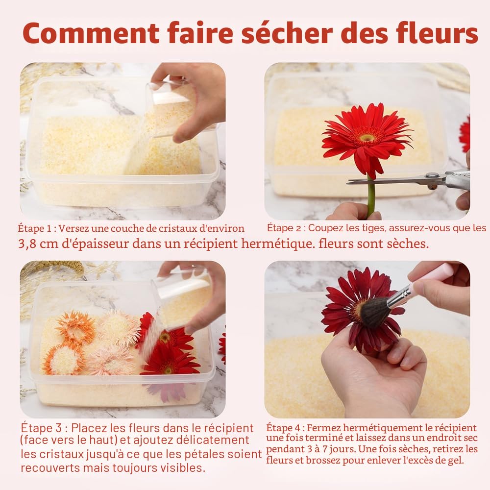 LotFancy Gel de silice pour le séchage des fleurs 2,72 kg (6 LBS), gel de silice avec indicateur, agent de séchage réutilisable, cristaux fins < 1 mm pour les fleurs