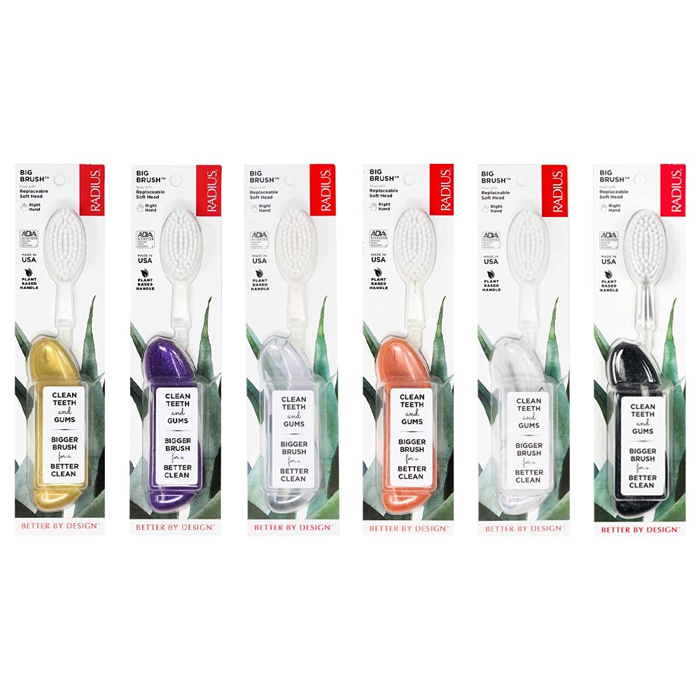 RADIUS Big Brush with Replaceable Head BPA Free & ADA Accepted Toothbrush Designed to Improve Gum Health & Reduce Gum Issues - Right Hand - Assorted - Pack of 6
