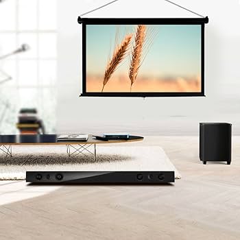 LiBatter 90インチ ポータブルスクリーン＆プロジェクタースタンド LiBatter テレビ・オーディオ・カメラ 90インチ スクリーン 4K対応