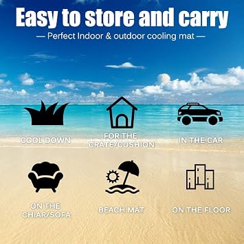 Gel Cooling Mat with Pillow for Adult, Summer Cooling Body Pad Cooling Mattress for Human Cushion Comfortable Cool Mat for Bed(170 * 70cm)