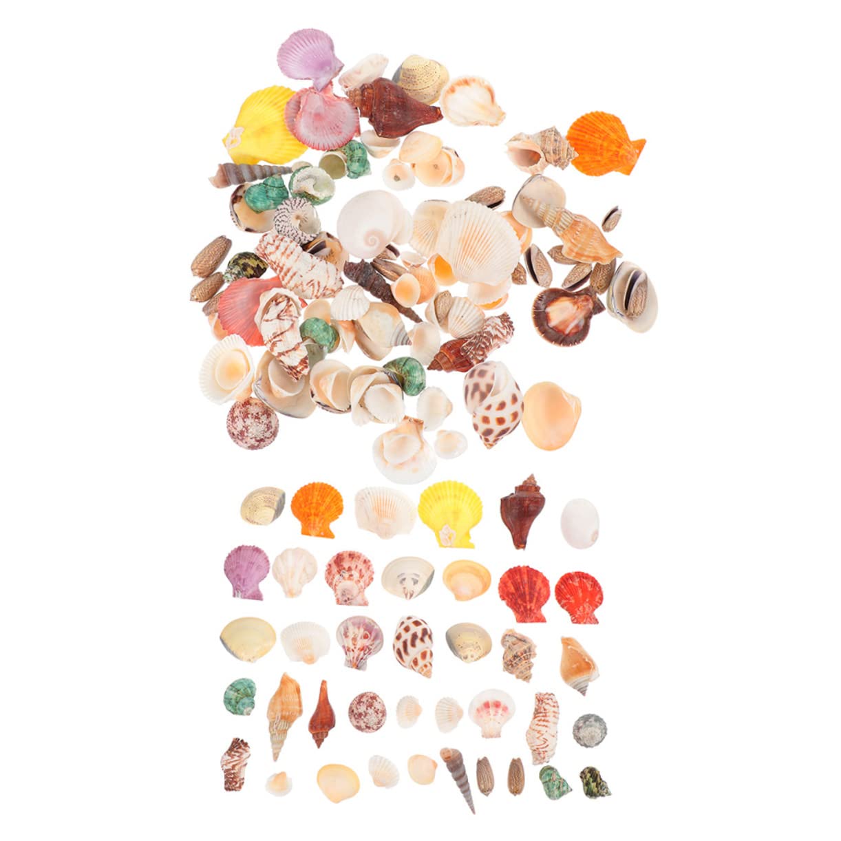Zerodeko 2 Set Conchiglia Vuoto Substrato Spiaggia Decorazioni per Bomboniere Decorazioni Marine Decorazione di Conchiglie Dell'acquario Materiale di Riempimento del Guscio 160 Pezzi * 2