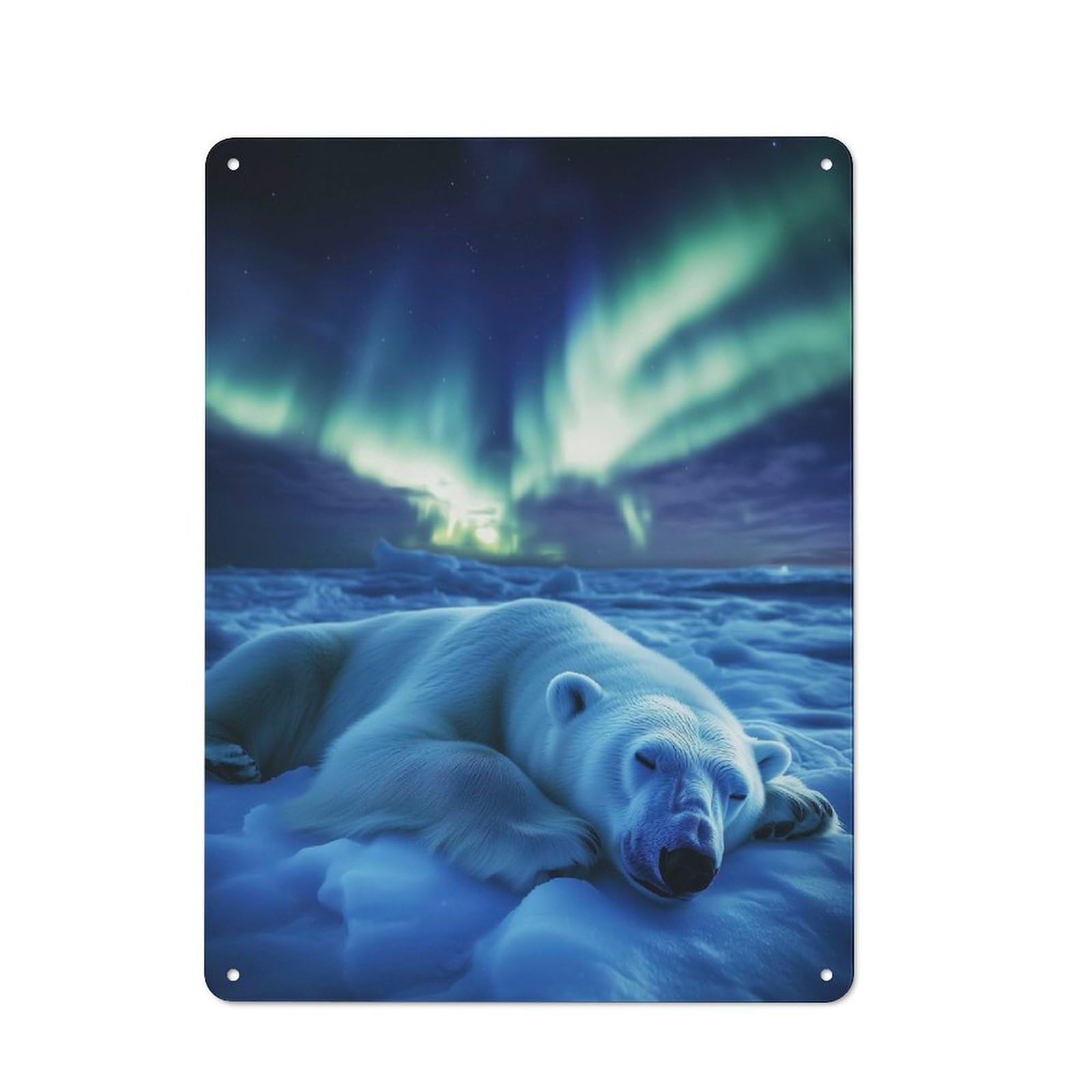 Junmoney Style-6 Polar Bear Under Aurora Borealis Vintage Metal Wall Decor 40X30cm, Vintage Tin Sign For Bedroom, Office, Home Bar Or Dining Room