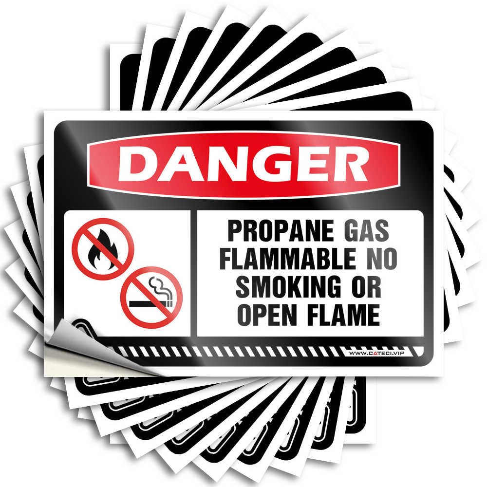 Fzfn Girls Colour At Home Decor Hat Saying | Danger Propane Gas Flammable No Smoking Accent Durable Vinyl Sticker Easy Apply For (6X9cm)