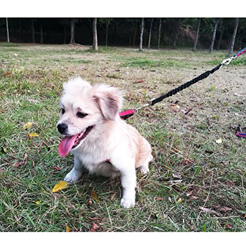 Ruckdämpfer für Hunde Leine Yangbaga Elastische Hundeleine Nylon-Kurzleine Perfekte Dämpfung beim Fahrrad für Hunde ab Mittlerer Größe (2.5 * 42cm) Schwarz