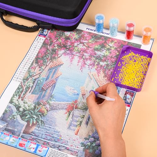 Image of MERATIA Diamond Painting Storage Case Organizer, 40 Slots with Accessories