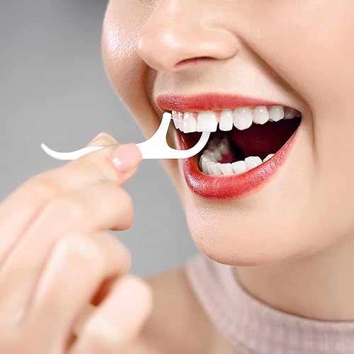 Miniatura 4 de Holy Rose Púas de hilo dental portátil 10 fundas con palitos de hilo dental para adultos, caja portátil de palillos de dientes de viaje es para el
