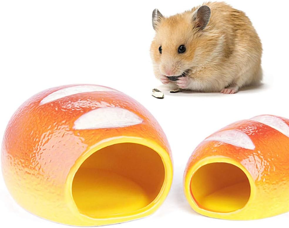 cool hamster accessories