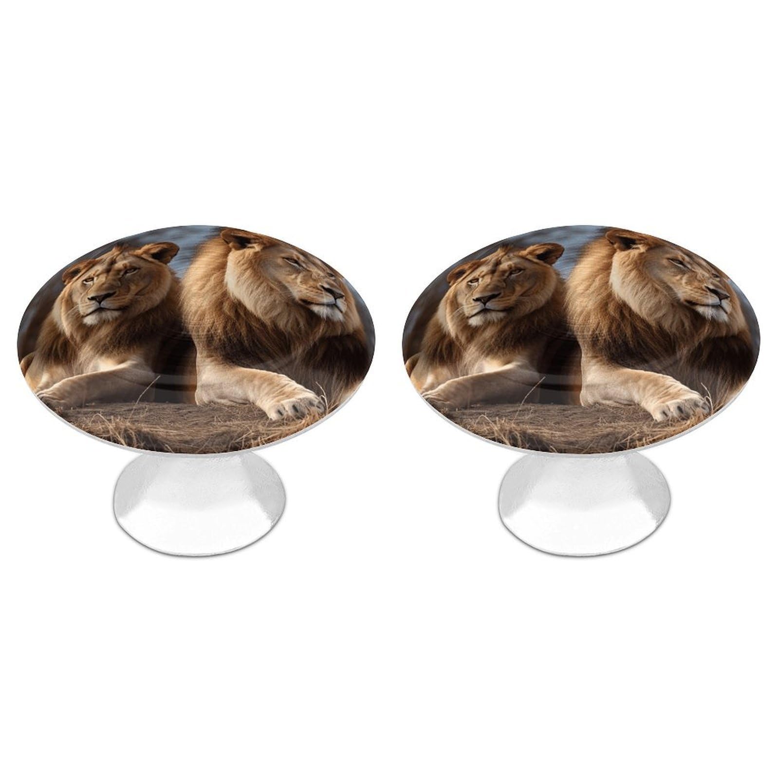 FekiLoot Two Lions Cabinet Knobs Simple Drawer Handles Aluminum Alloy Kitchen Pulls Round Cabinet Door Knobs with Screw Door Hardware for Dresser Cabinets 2 Pack
