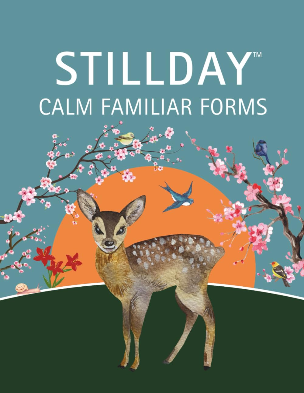 Stillday Calm Familiar Forms: Encouraging Early Attention Through Clear, Open Designs for Ages 2–4 (Shillday Happy Start Series)