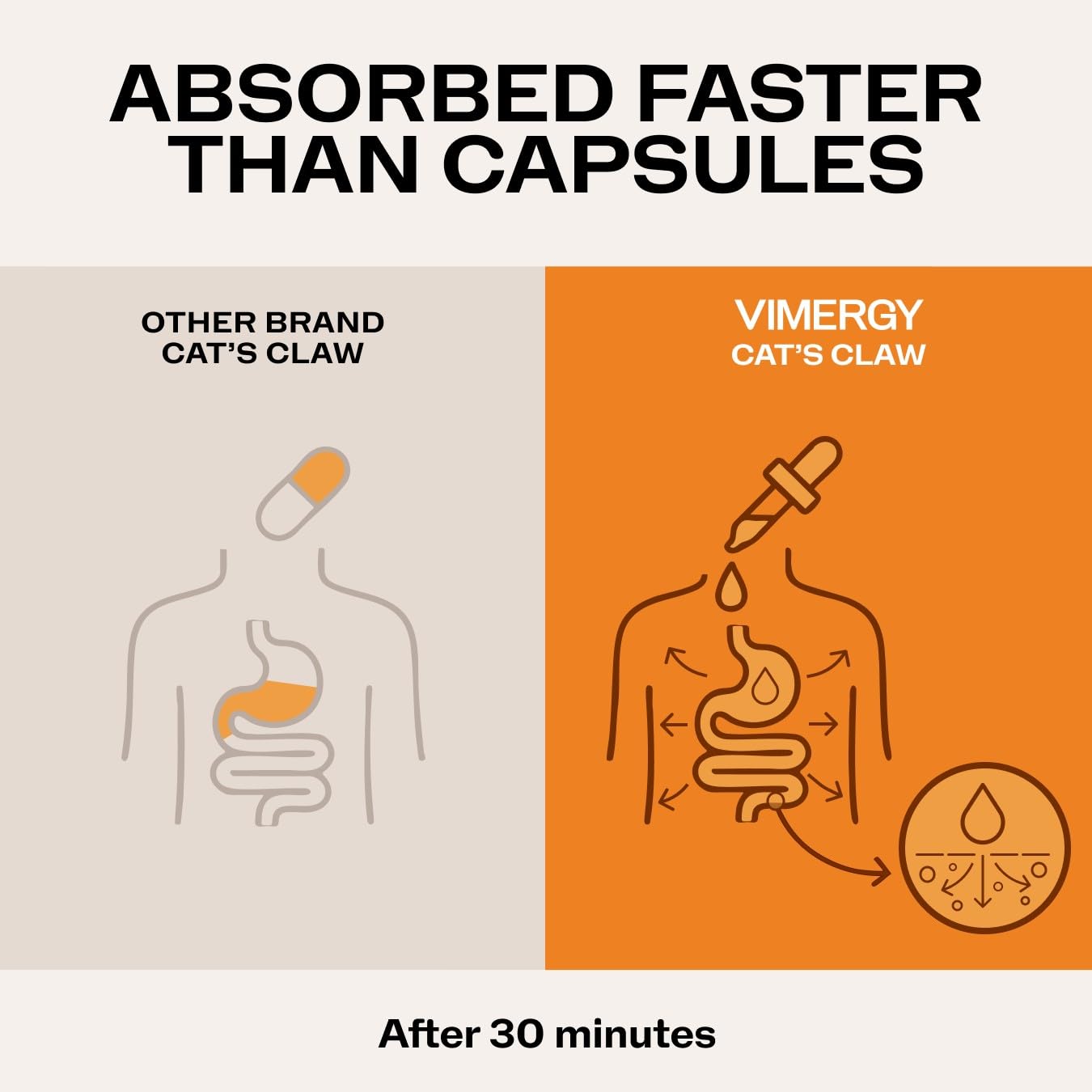 Cat's Claw 10:1 extract, Whole Body Immunity*, Alcohol-Free, 4 Mo Supply — Amazon image 4