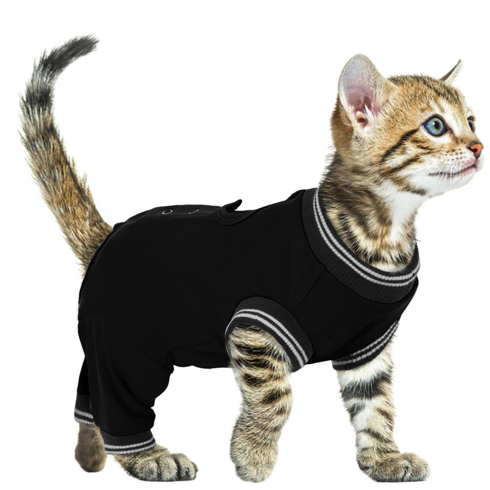 PUMYPOREITY Kitten Neutering Recovery Suit Male Neutering Kitten Onesie after Surgery Cat Suits after Surgery Stops Licking Wound(Black, S) โ image 1